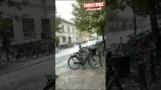 sweden snowfall 2024 | New year snowfall #snowfall2024