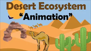 DESERT ECOSYSTEM | Biology Animation