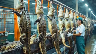 Incredible modern crocodile processing factory technology. Amazing alligator skin tanning methods