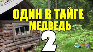 ОДИН В ТАЙГЕ | ВЕРНАЯ СОБАКА | УШЕЛ В ТАЙГУ 2 из 2