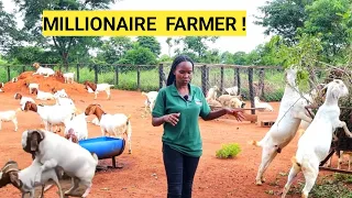 How To Make Your GOATS More Fertile Naturally! | BEST Management Practices For PROFITS!