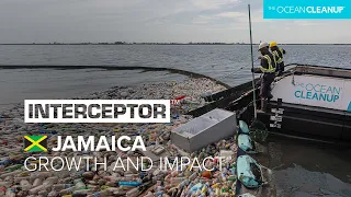 The Impact of Interceptors Deployed in All 7 of Kingston Harbour Gullies