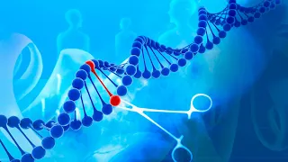 ARD | Eine Revolution im Genlabor - CRISPR Cas9