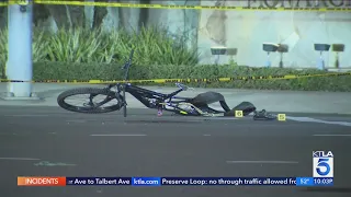 Cyclist dies after being hit by car, then assaulted by driver in Dana Point