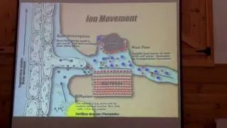 High Tunnel Soil Management Presentation By Bruce Hoskins