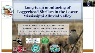 Long-term monitoring of Loggerhead Shrikes in the Lower Mississippi Alluvial Valley