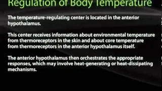 3  19  Temperature Regulation