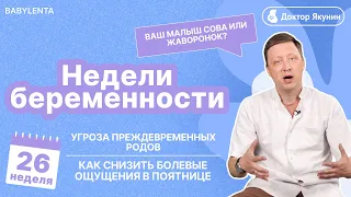 26 неделя беременности как выглядит малыш,, что происходит, УЗИ, шевеления, боли в пояснице