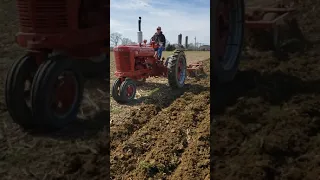 Farmall M Chisel Plowing
