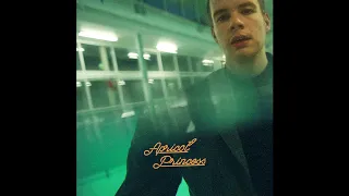 Rex Orange County - Happiness (Official Audio)