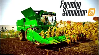 HARVESTING SUNFLOWERS | FARMING SIMULATOR 20