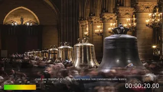 Sonnerie du campanaire à dix cloches de la Cathédrale Notre-Dame de Paris