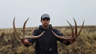 2019 SHED HUNTING WEEK 5 THE BEST WEEKEND EVER! 48 SHEDS IN ONE DAY + 180in GIANT WHITETAIL SET