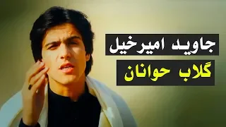 Javed Amirkhil - Gulab Zwanan جاوید امیرخیل - ګلاب ګلاب ځوانان