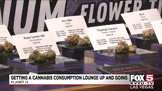 Cannabis lounge licenses in Las Vegas could be issued in the next few months