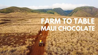 Maui Chocolate Farm Tour | Things to Do on Maui