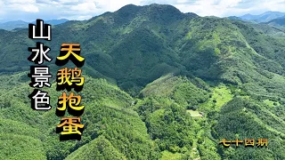 堪舆【风水】风水局宝地，龙穴阴宅墓地，阳宅风水教学， 走进广宁粉丝带路航拍高氏“天鹅抱蛋”