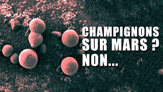 A-t-on réellement découvert des champignons sur Mars ? (non)