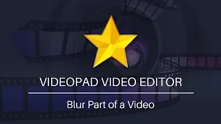 How to Blur Part of a Video | VideoPad Video Editing Tutorial
