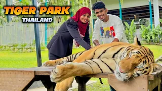 Tiger Park in thailand 🐯❤️ | Vlogs | Mabu Crush