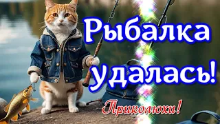 🐟🐠Кот рыбак, кот рыбак, продавец🐟🐠Окунь, карась, треска, форель- вот его улов🐟🐠 поздравляю🐠