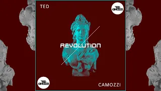 Revolution - Ted Camozzi (Original mix)