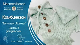 Комбинезон для собаки спицами, Часть3, Dog clothes