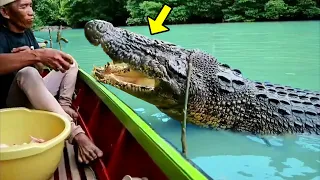 He Saved a Young Crocodile From Dying. Years Later, Something Very Surprising Happened!