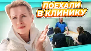 ВЛОГ | САТУ НА ОБСЛЕДОВАНИЕ | НЕТ МАЛИННОЙ МУХЕ | ГЛУХОЙ АЛЕКСАНДРОВ