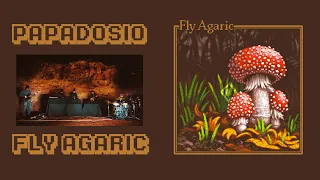 Papadosio - Fly Agaric (Official Video)