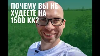 Почему вы не худеете на 1500 Кк?