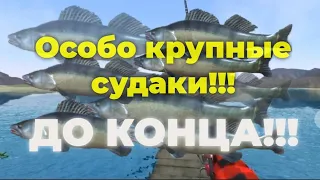 12 здоровых СУДАКОВ!!! | Ultimate Fishing Simulator | Вальхензе