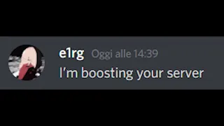 Literally every Discord server owner when they get their first server boost