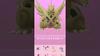 51레벨 100로치 메가마기라스 만들었습니다. Shoundo MegaTyranitar