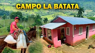 ESTE CAMPO DE REPÚBLICA DOMINICANA ES UNA MARAVILLA ( EL CAMPO LA BATATA DE YASICA