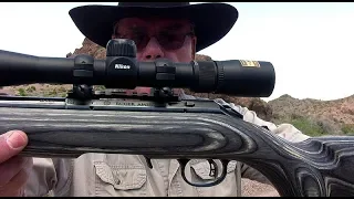 Ruger American Rimfire Target Rifle - .22 Magnum Shooting Review