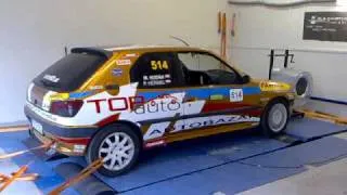 rls-chiptuning peugot 206 GTI