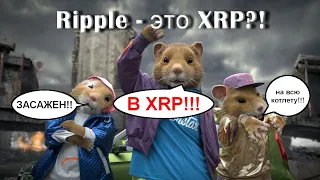 Глобальный анализ XRP указывает на РОСТ!! / Как блогеры засаживают ХОМЯКОВ!!!