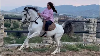 My unique and exciting ride with Yaghma🐴😍#horseriding #fatimahorse#equestrian #سوارکاری#اسب