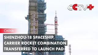 Shenzhou-18 Spaceship, Carrier Rocket Combination Transferred to Launch Pad