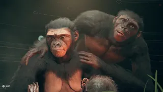 Ancestors: The Humankind Odyssey - Birth Sequence - All Evolutions