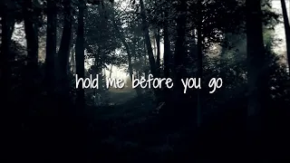 Steven Ryan - Hold Me Before You Go (Official Lyric Video)