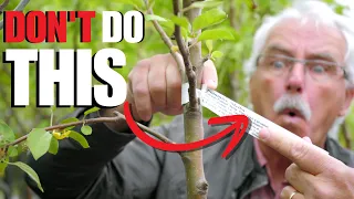 If you’re doing THIS then you're (PROBABLY) growing your Fruit Trees WRONG!!