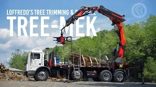 Loffredo's Tree Trimming & Removal: Tree Mek