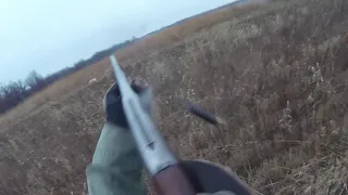 2020-12-19 First Quail With Grandpa's Winchester Model 12