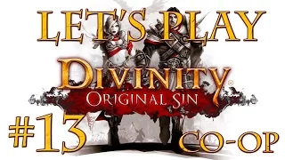 Let's Play Divinity Original Sin (part 13 - Combat! [Co-Op])