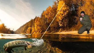 Ultimate Pike Fishing - Conquering The River Giants