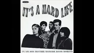 Various ‎– It's A Hard Life : 60's Garage Punk Rock Fuzz USA Psych Bands Music Compilation