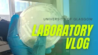 Laboratory Vlog | University of Glasgow | Biotechnology