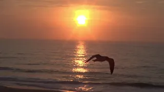 Ocean City Md. Sunrise